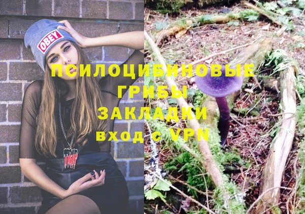 крисы Алексеевка