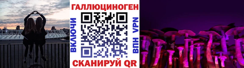 Псилоцибиновые грибы Psilocybine cubensis  Белореченск 
